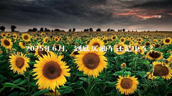 2025年6月，到底买油车还是电车？